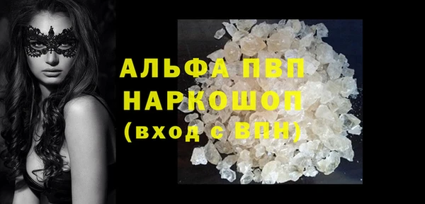шишки Новодвинск