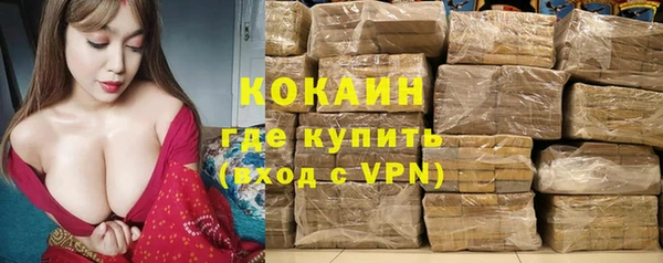 дмт Алексин