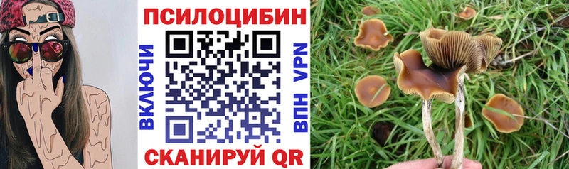 купить наркотик Мураши Галлюциногенные грибы Psilocybe