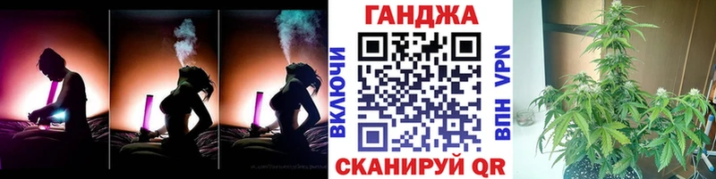 Конопля SATIVA & INDICA  Мураши 